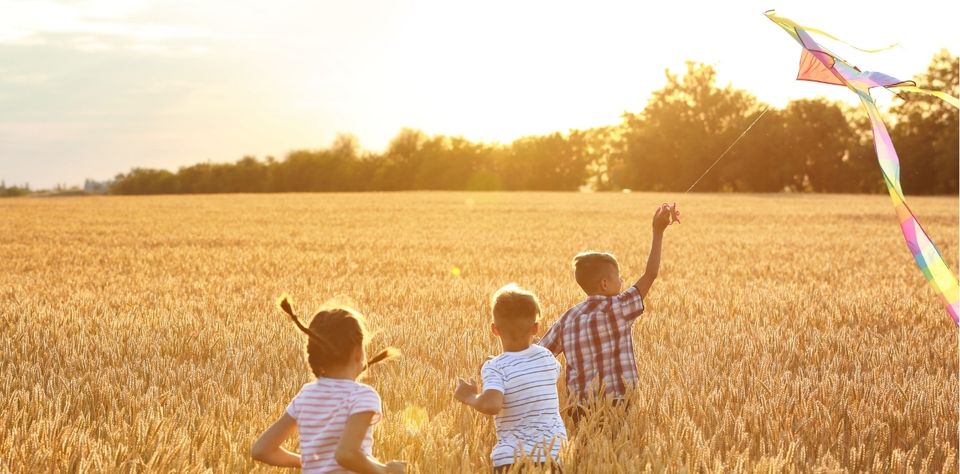 Essential Insights webinar: NQF Child Safety Session 2