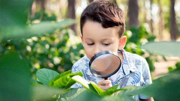 Opportunities to support you to manage workforce shortages now