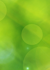 Member Flood Support