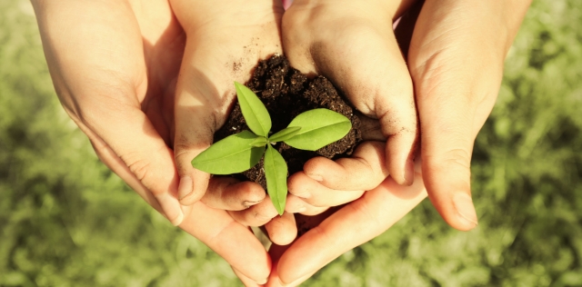 Creating Safer Childhoods Child Safe Culture & Leadership