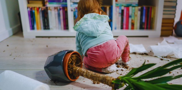 An Introduction to Reframing and Responding to Children's Behaviour - Webinar