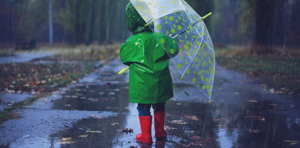 NSW Child Safe Standards and Child Protection Overview - For Leaders