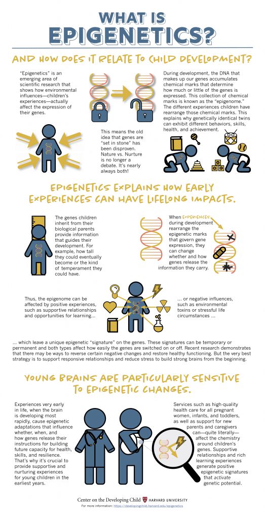 EpigeneticsInfographic_FINAL