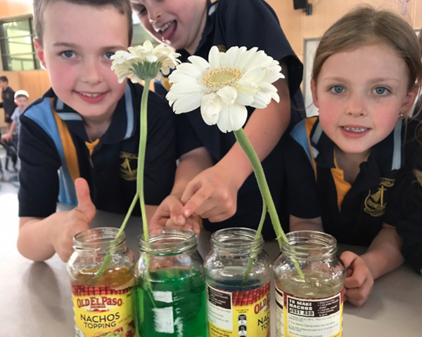 Sherpa Kids St Pauls science