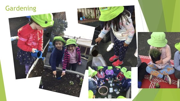 Bambini Bushcare 3