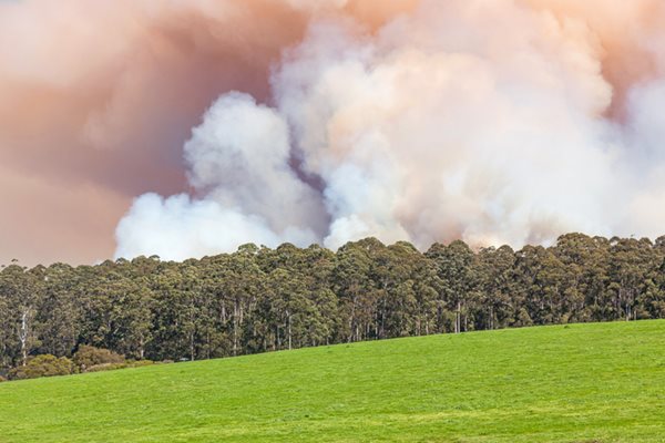 Bushfire season